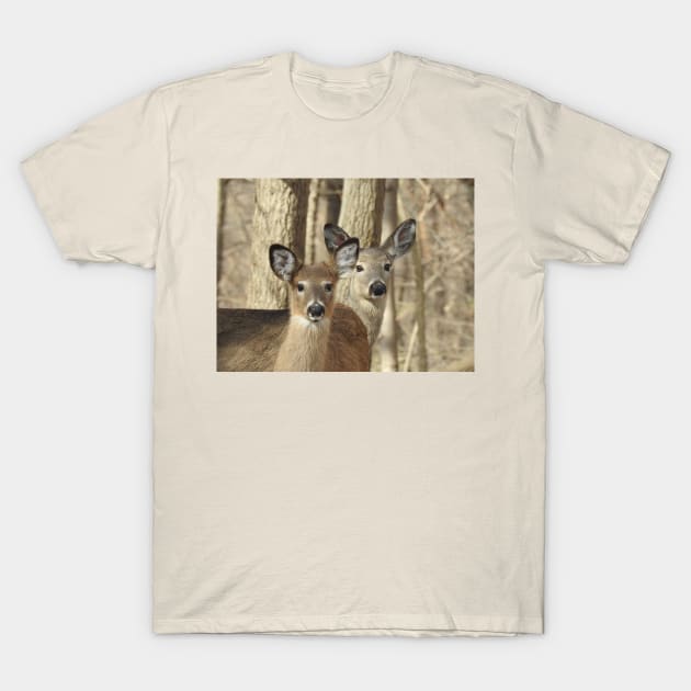 Whitetail deer, doe and babe, wildlife photography T-Shirt by sandyo2ly